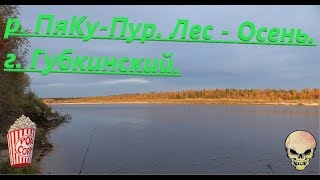 Попов верх губкинский район рыбалка