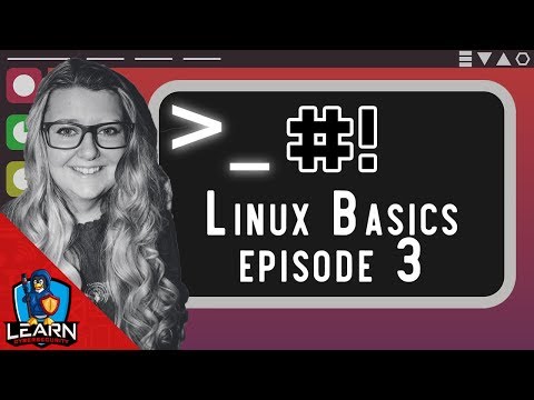 Bash Scripting Linux Basics - Let's Learn Series: Episode 3