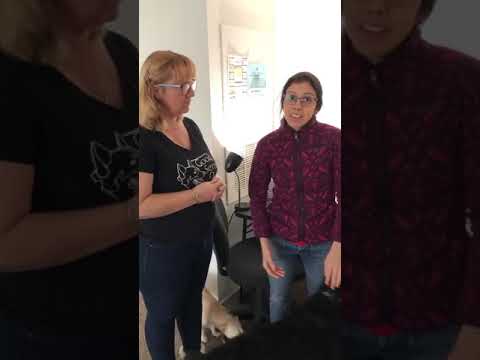 Help Displaced Pets of the Deported