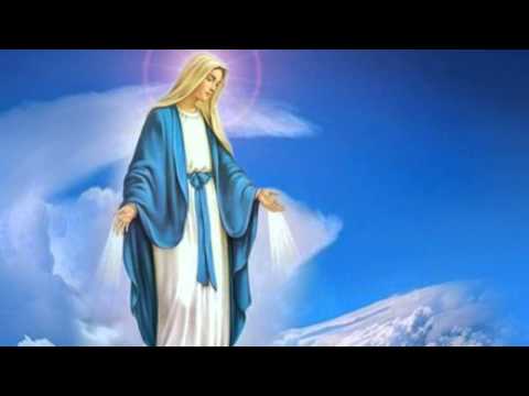 Nụ hồng dâng Mẹ Maria Sheet - Thùy An