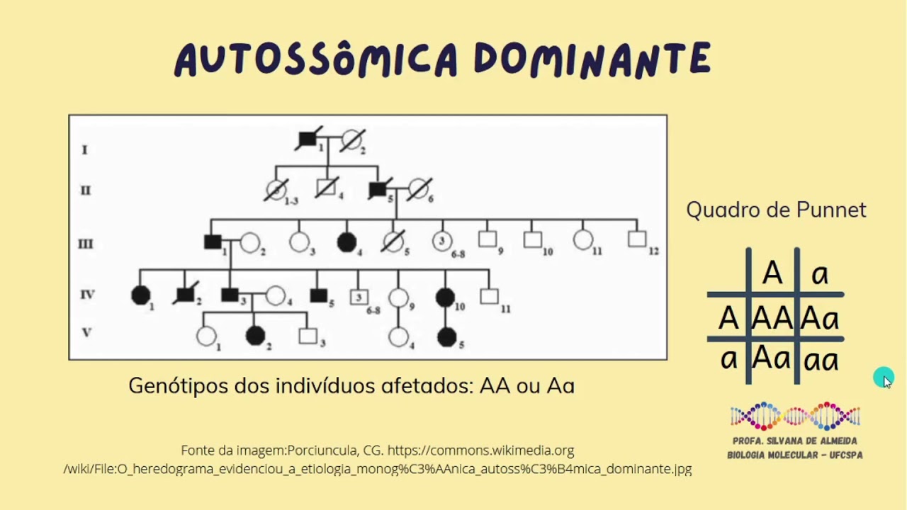 Aula sobre padrões de herança monogênica - Parte1