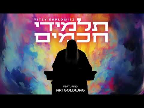 Talmidei Chachamim- Yitzy Kaplowitz and Ari Goldwag