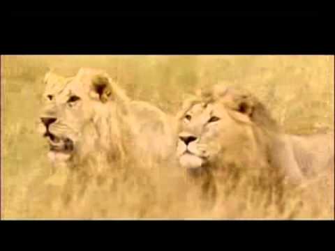 Mt Sinai Choir Yobo Official Video