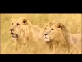 Mt Sinai Choir Yobo Official Video