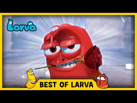 LARVA BEST OF LARVA | Funny | Cartoons | Comics | LARVA Official WEEK 11 2017