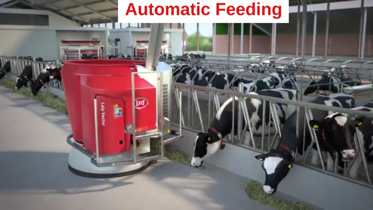 Lely Vector - Improve the feeding kitchen in farming via innovation and technology - Animation - EN