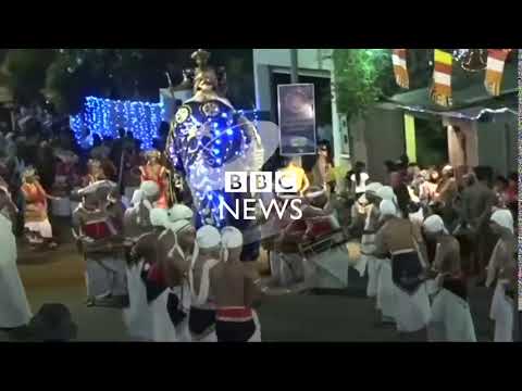 Sri Lanka elephant runs amok in parade   BBC News mp4