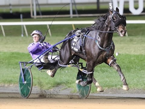 2016 Breeders Crown 3-Year-Old Colt Pace-Racing Hill
