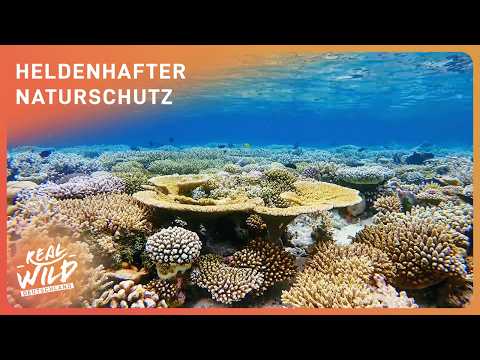 So werden die größten Naturwunder geschützt | Äquator Doku