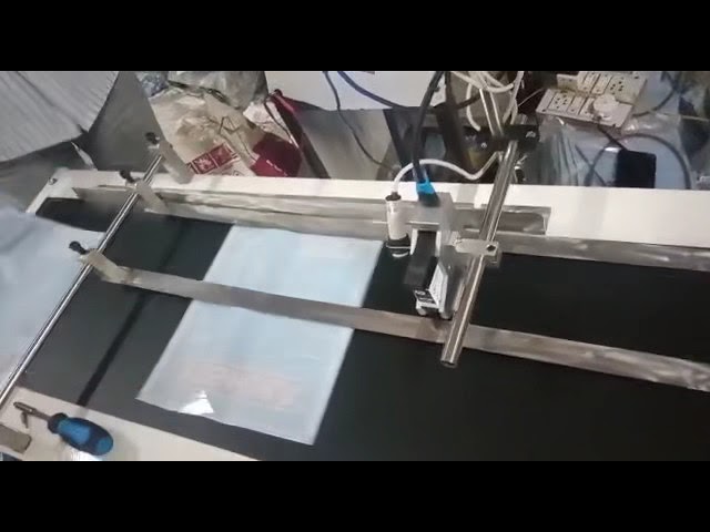Batch Coding Conveyor - Batch Coding Conveyor Machine Service Provider ...