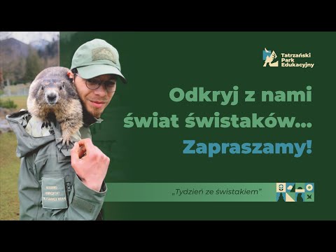 Jak wyglądają u nas prelekcje o świstakach? Tatrzański Park Edukacyjny