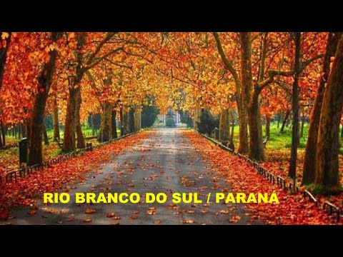 RIO BRANCO DO SUL / PARANÁ