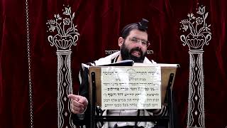 זבחים דף י"ד ע''א ¤ הרב נתנאל אברז'ל ¤ בית הכנסת "בית מרדכי" (מוסדות תורת דוד) - התמונה מוצגת ישירות מתוך אתר האינטרנט יוטיוב. זכויות היוצרים בתמונה שייכות ליוצרה. קישור קרדיט למקור התוכן נמצא בתוך דף הסרטון