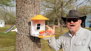 DZEES Smart Bird Feeder Cam Review 🐦 | Setup, Field Test & Real Footage Captured!