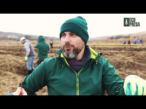Sute de voluntari au plantat „fapte bune” la Bălăbănești