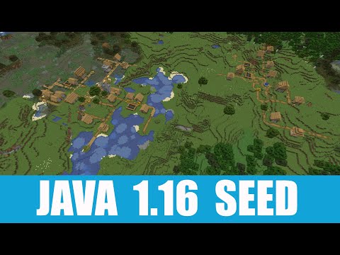 Minecraft Java 1.16 Seed: 2 Villages, Witch Hut, Dungeon