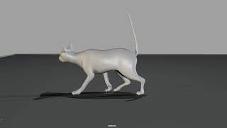 Start of Summer + Cat Walk Test Blocking Pass