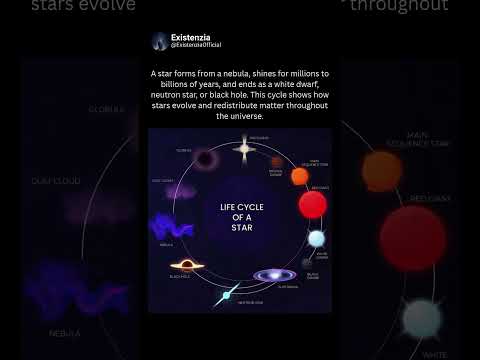 The Life Cycle of a Star