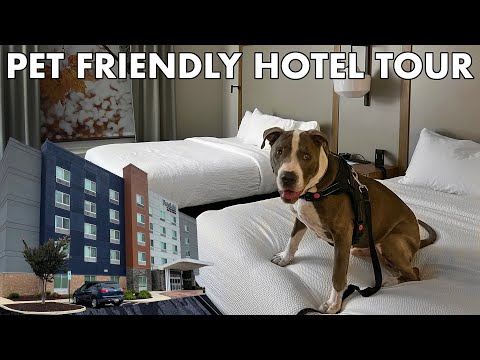 Pet Friendly Hotel Tour: Fairfield Inn & Suites by Marriott Stony Creek, VA