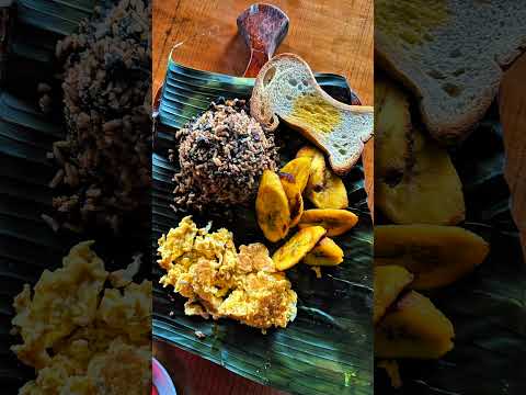 🤎 La Casa del café. 📍700 metros sureste de la entrada de San Antonio, León Cortés, San José. V