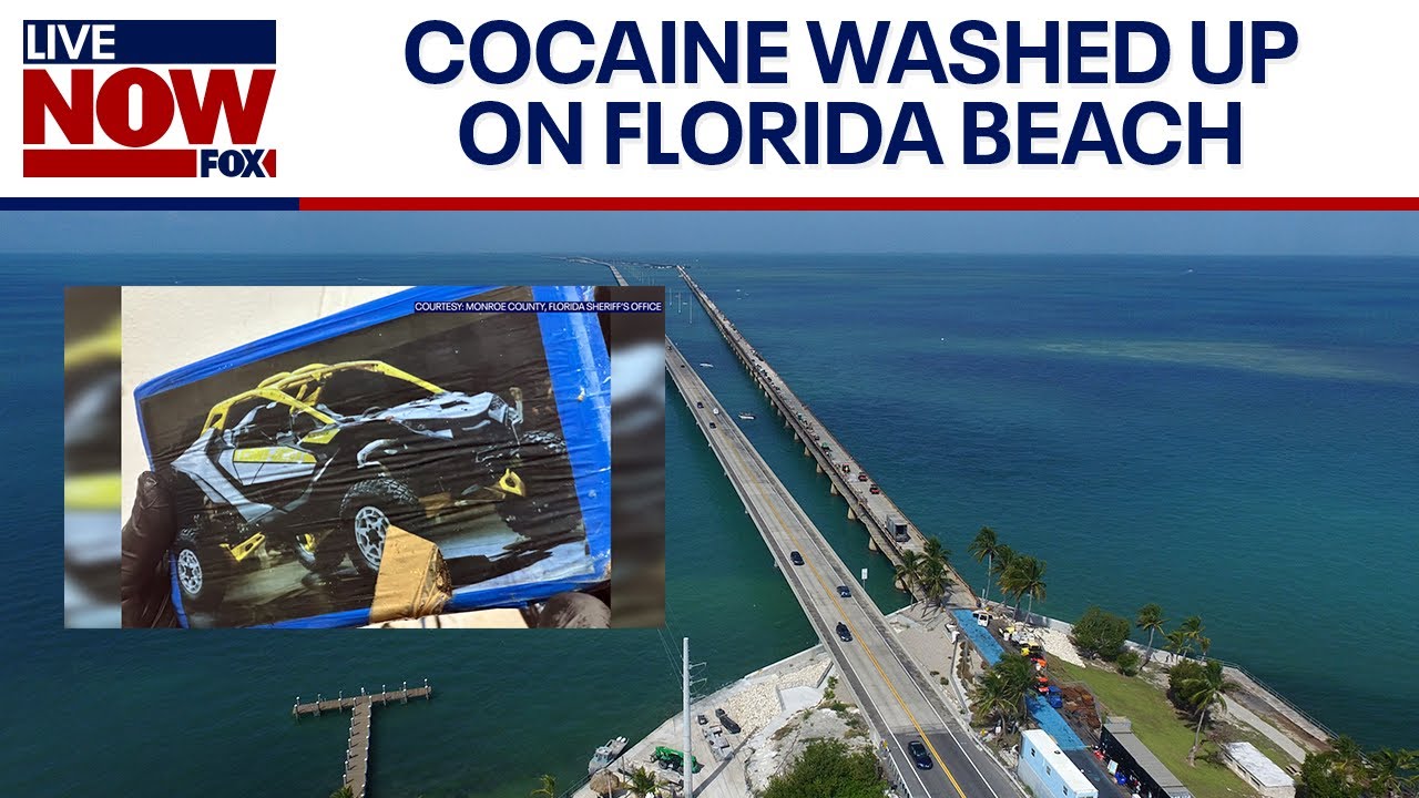 Cocaine washes up at Florida Keys resort, found by hotel guests | LiveNOW from FOX