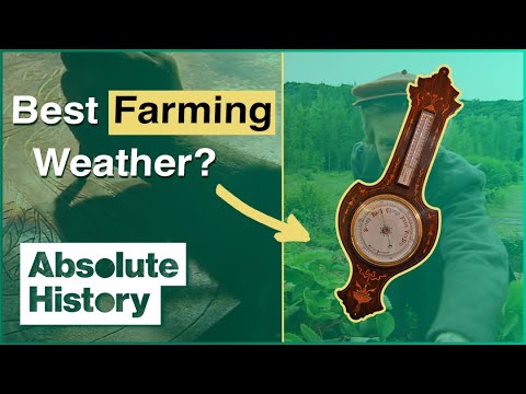 How To Harvest Oats Like An Edwardian  | Edwardian Farm EP12| Absolute History