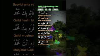 Download lagu SHOLAWAT HABIBI ANTA YA MUKHAMMAD#short#reels#viral. mp3 Download lagu SHOLAWAT HABIBI ANTA YA MUKHAMMAD#short#reels#viral. mp3