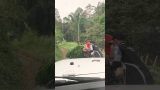 Download lagu NABRAK WARGA MENUJU RUMAH HUTAN⁉️‼️ mp3 Download lagu NABRAK WARGA MENUJU RUMAH HUTAN⁉️‼️ mp3