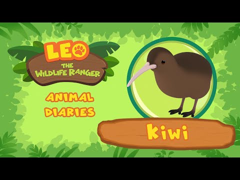 Witness21 Editor  2021 11 14