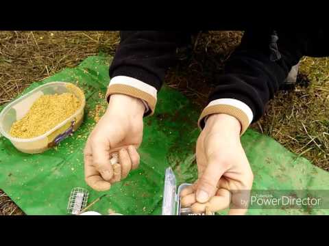 Feedern mit Pellets im Frühjahr Teil 1 mit Big S