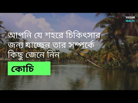 আপনি যে শহরে চিকিৎসা করতে যাচ্ছেন তার সম্পর্কে কিছু জেনে নিন -কোচি