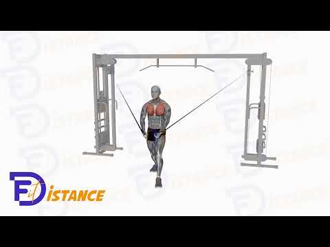 Écartés à la poulie vis-à-vis haute - Exercice Écartés à la poulie vis-à-vis haute en vidéo