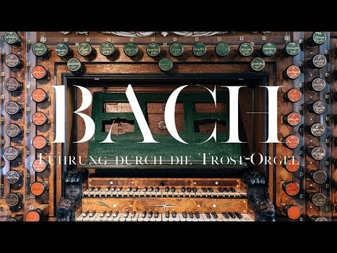 Eine Führung durch die Trost-Orgel in Waltershausen