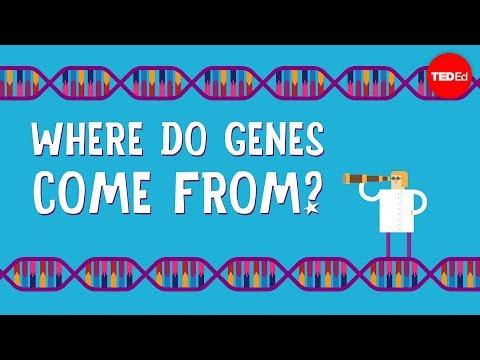 Where do genes come from? - Carl Zimmer
