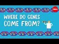 Where do genes come from? - Carl Zimmer