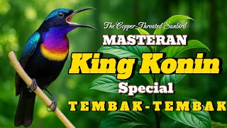 Download lagu MASTERAN KING KONIN FULL TEMBAKAN RAPAT JERNIH - KING KONIN GACOR FULL ISIAN - SUNBIRD SONG mp3