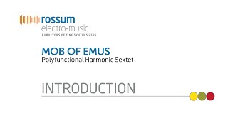 Video thumbnail for Rossum Electro-Music Mob Of Emus Polyfunctional Harmonic Sextet by Rossum Electro-Music