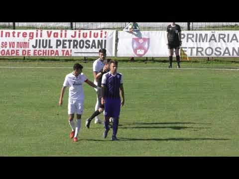 REZUMAT  I ACS ENERGETICIANUL  -   ACS POLI TIMISOARA