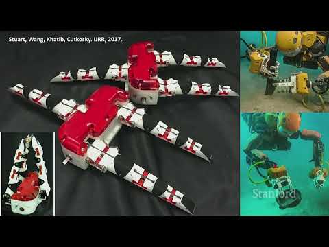 Stanford Seminar Designing bioinspired aerial robots with feathered morphing wings