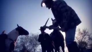 Los Cadetes de Linares   Los Dos Amigos Video Oficial