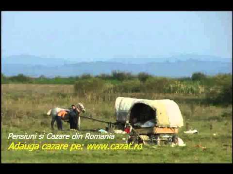 Cazare Facau, Giurgiu - Cazat.ro