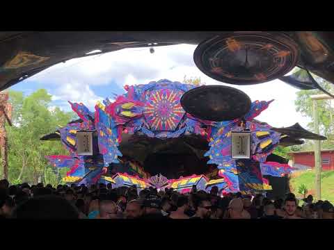 Paralocks playing Convey (Bombax) // Hitech Revolution 2024