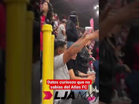 La historia de los zorros del Atlas