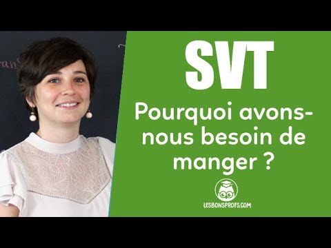 Pourquoi avons-nous besoin de manger ?