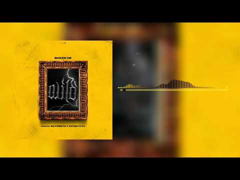 Los Tumbé - Romeo Zk Ft Dj King Klang x Sr Prdktr (Álbum Wild)