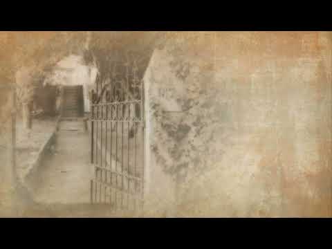 Miodrag Mile Bogdanović i TO   A što mi se pomeravlja