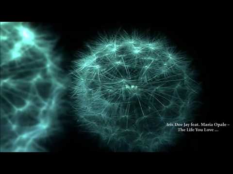 iris dee jay feat maria opale the life you love original mix