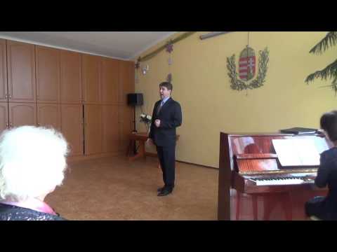 Erkel Ferenc: Bánk bán -Hazám hazám- Csobolya József.