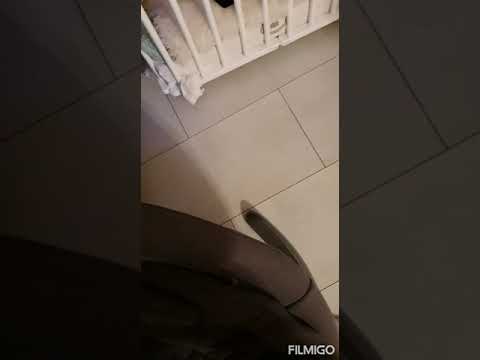 king Yagri#elka $ava# Jackson blai-yaw poi.