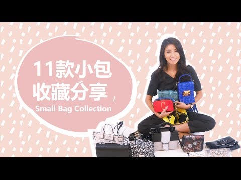 11款小包收藏分享 Small Bag Collection